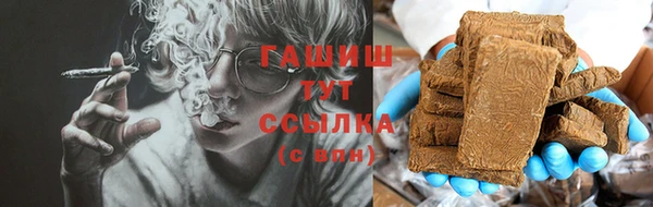 тгк Ельня