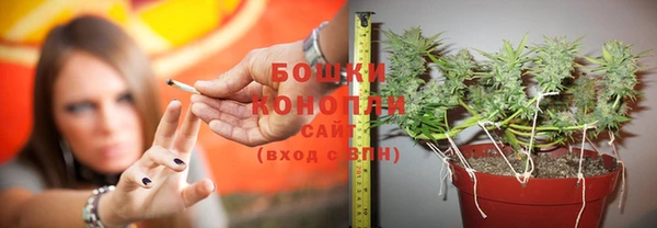 метадон Елизово