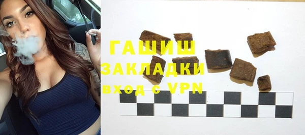 тгк Ельня