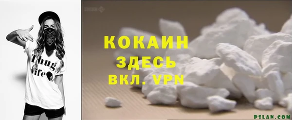 тгк Ельня