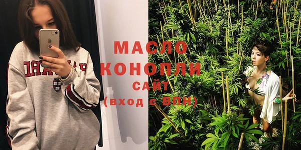 тгк Ельня
