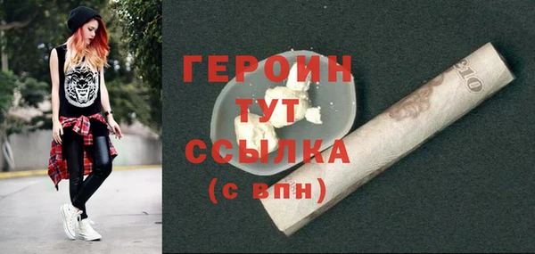 тгк Ельня