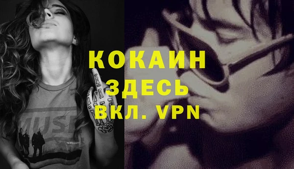 метадон Елизово