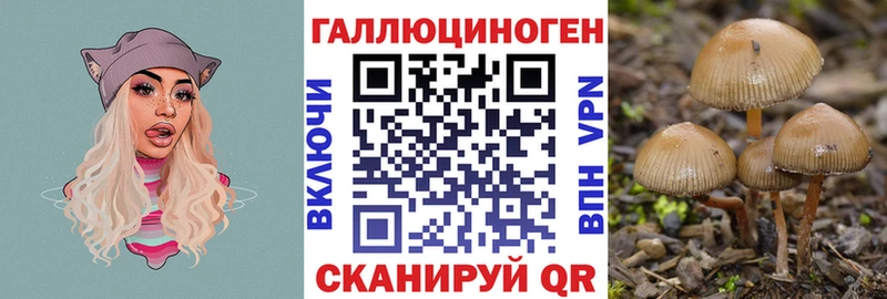 Галлюциногенные грибы прущие грибы Истра