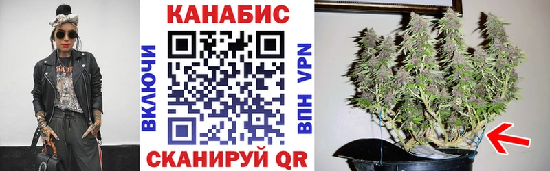 Купить закладки  Истра  Шишки марихуана семена 